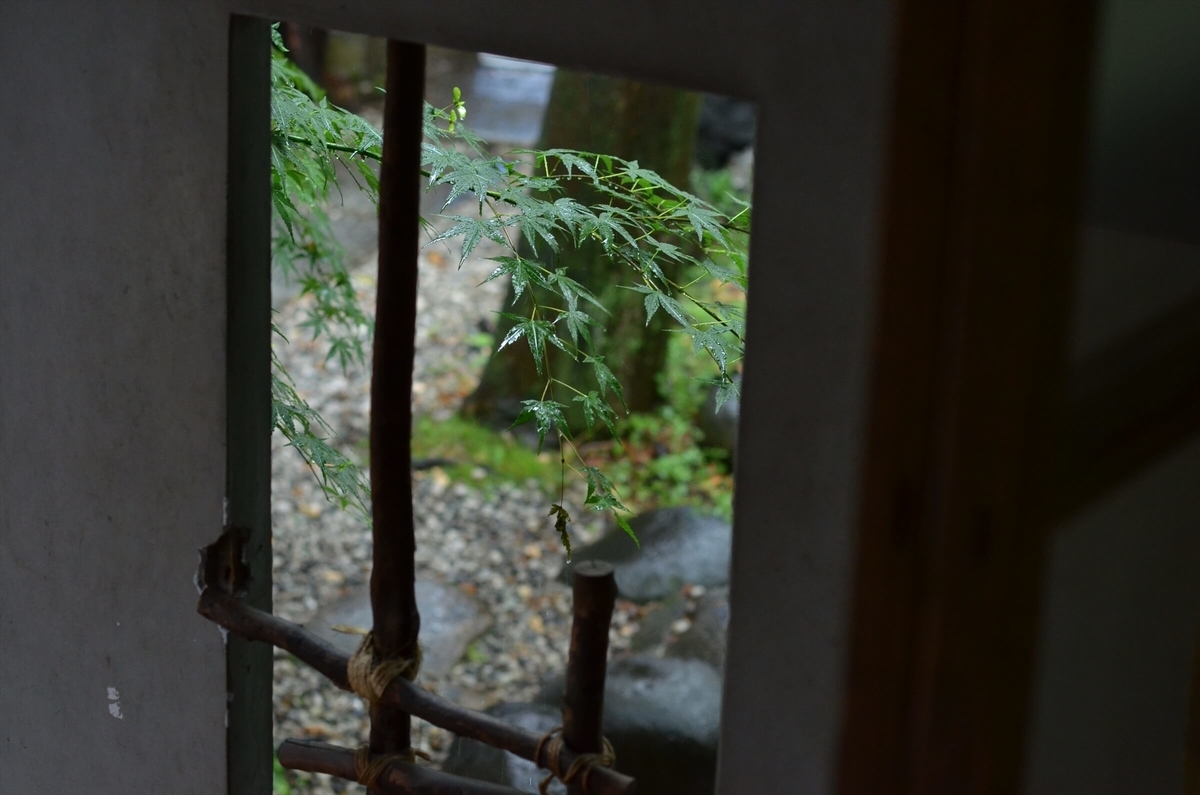 f:id:hachi-log:20190627012157j:plain f:id:hachi-log:20190627012157j:plain