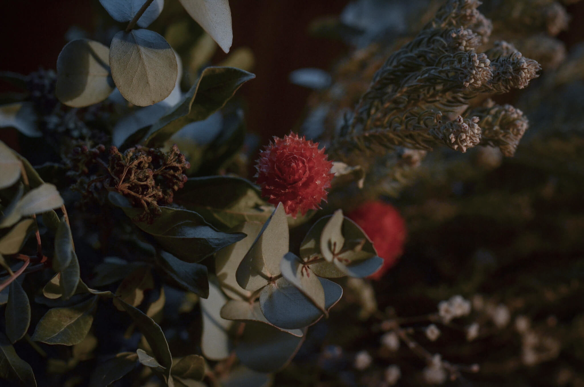 f:id:hachi-log:20190627012245j:plain f:id:hachi-log:20190627012245j:plain