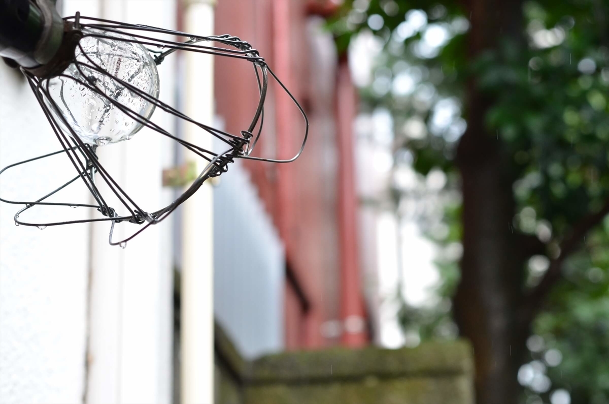 f:id:hachi-log:20190627012516j:plain f:id:hachi-log:20190627012516j:plain