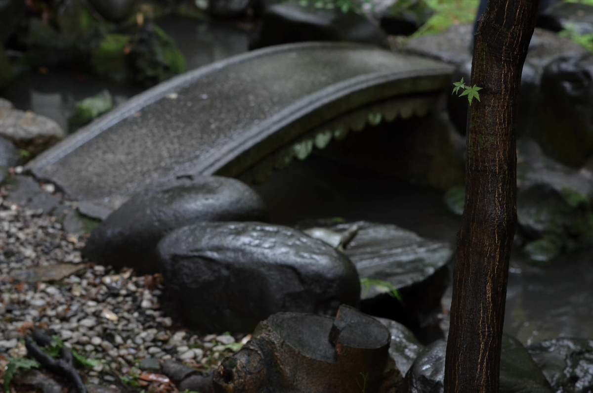 f:id:hachi-log:20190627012621j:plain f:id:hachi-log:20190627012621j:plain