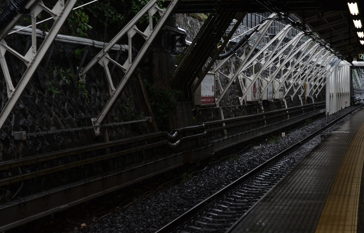 f:id:hachi-log:20190627014604j:plain f:id:hachi-log:20190627014604j:plain