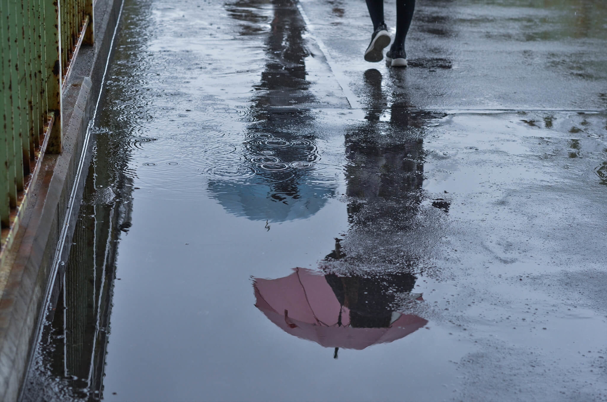 f:id:hachi-log:20190627014639j:plain f:id:hachi-log:20190627014639j:plain