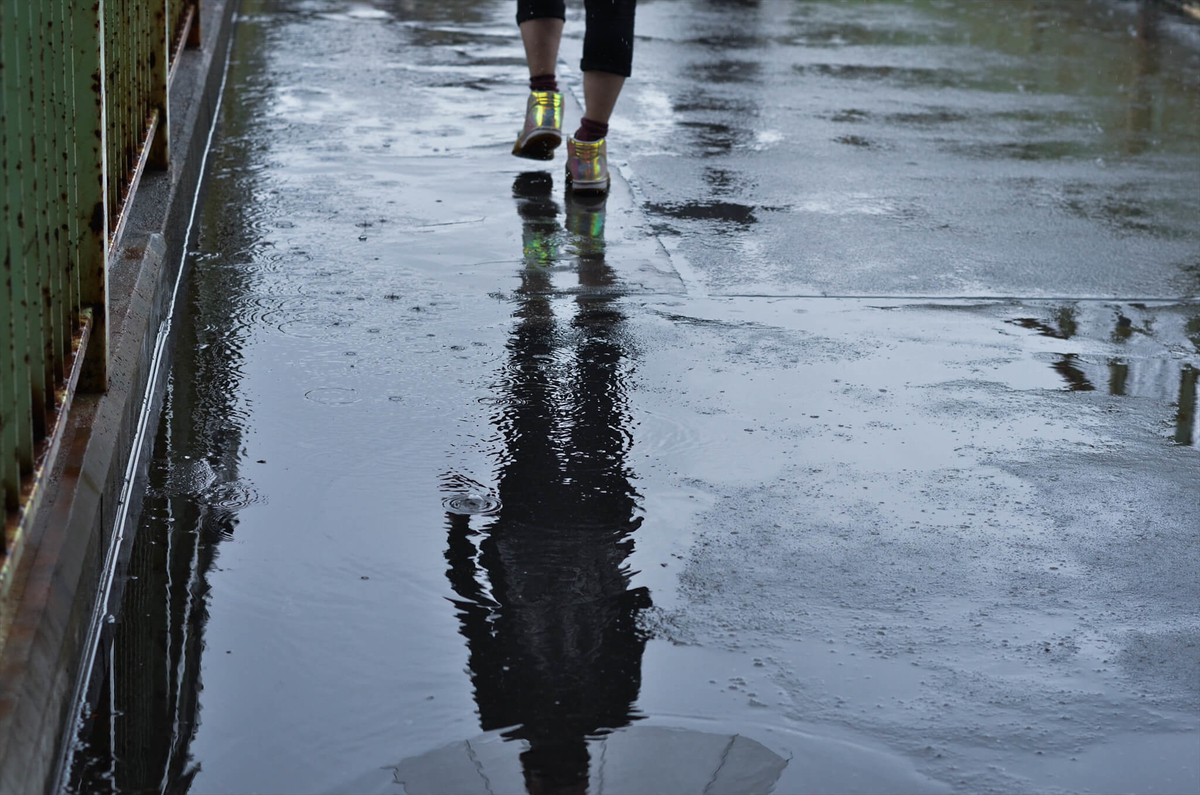 f:id:hachi-log:20190627014715j:plain f:id:hachi-log:20190627014715j:plain