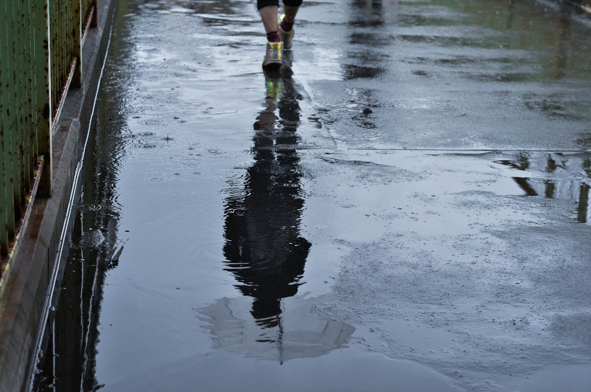 f:id:hachi-log:20190627014723j:plain f:id:hachi-log:20190627014723j:plain