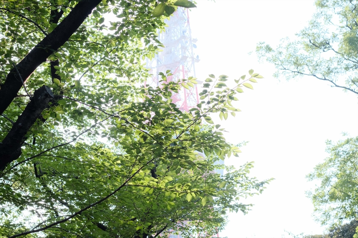 f:id:hachi-log:20190725103717j:plain