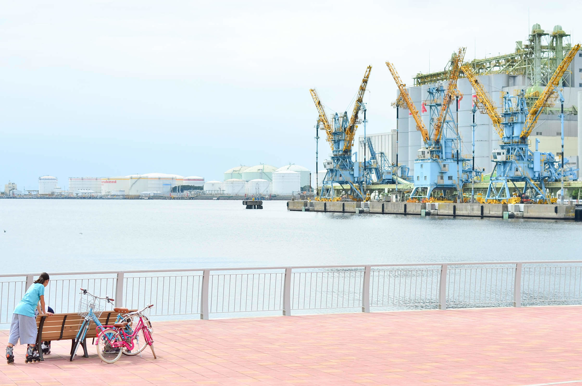 f:id:hachi-log:20191120224830j:plain
