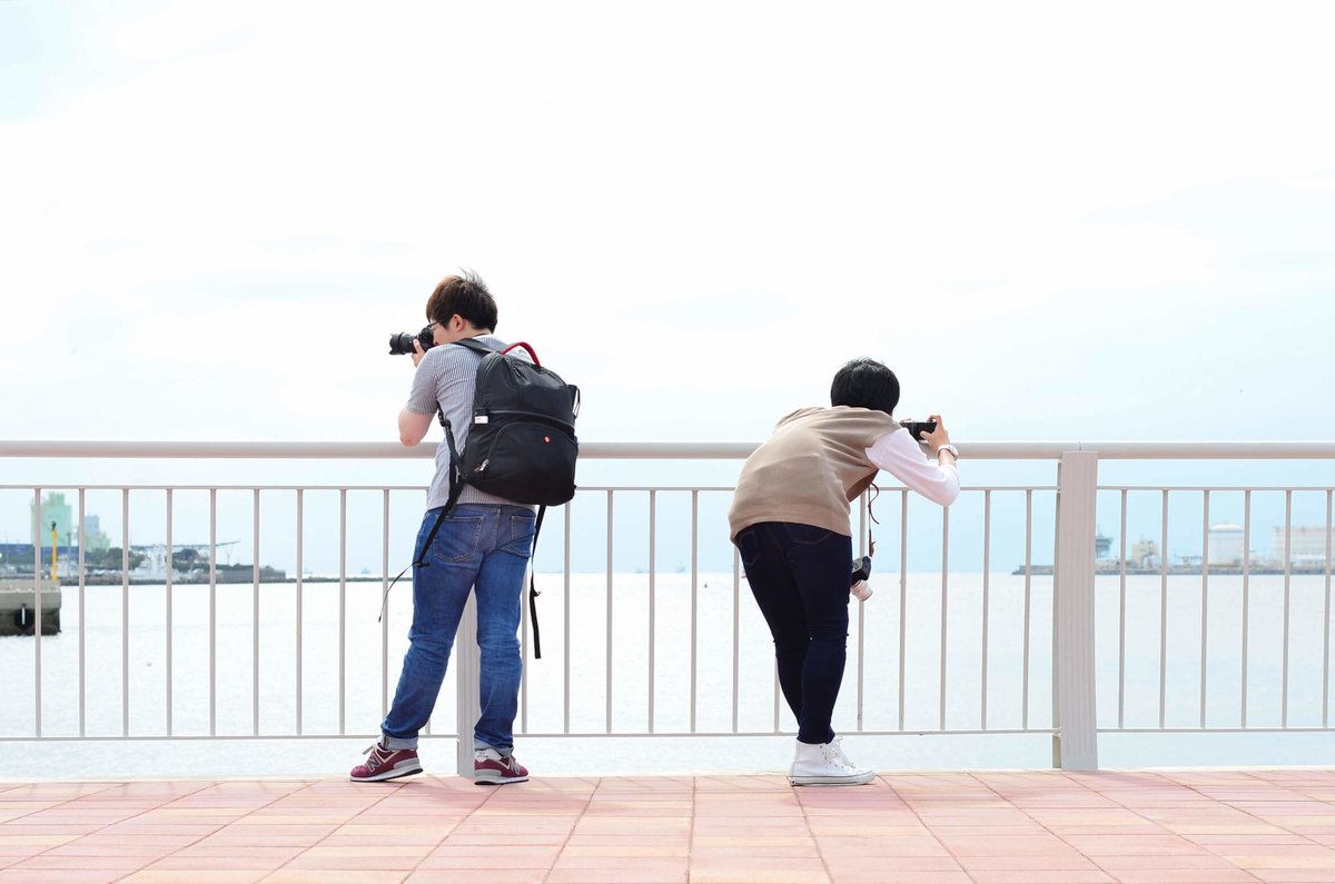 f:id:hachi-log:20191120224849j:plain