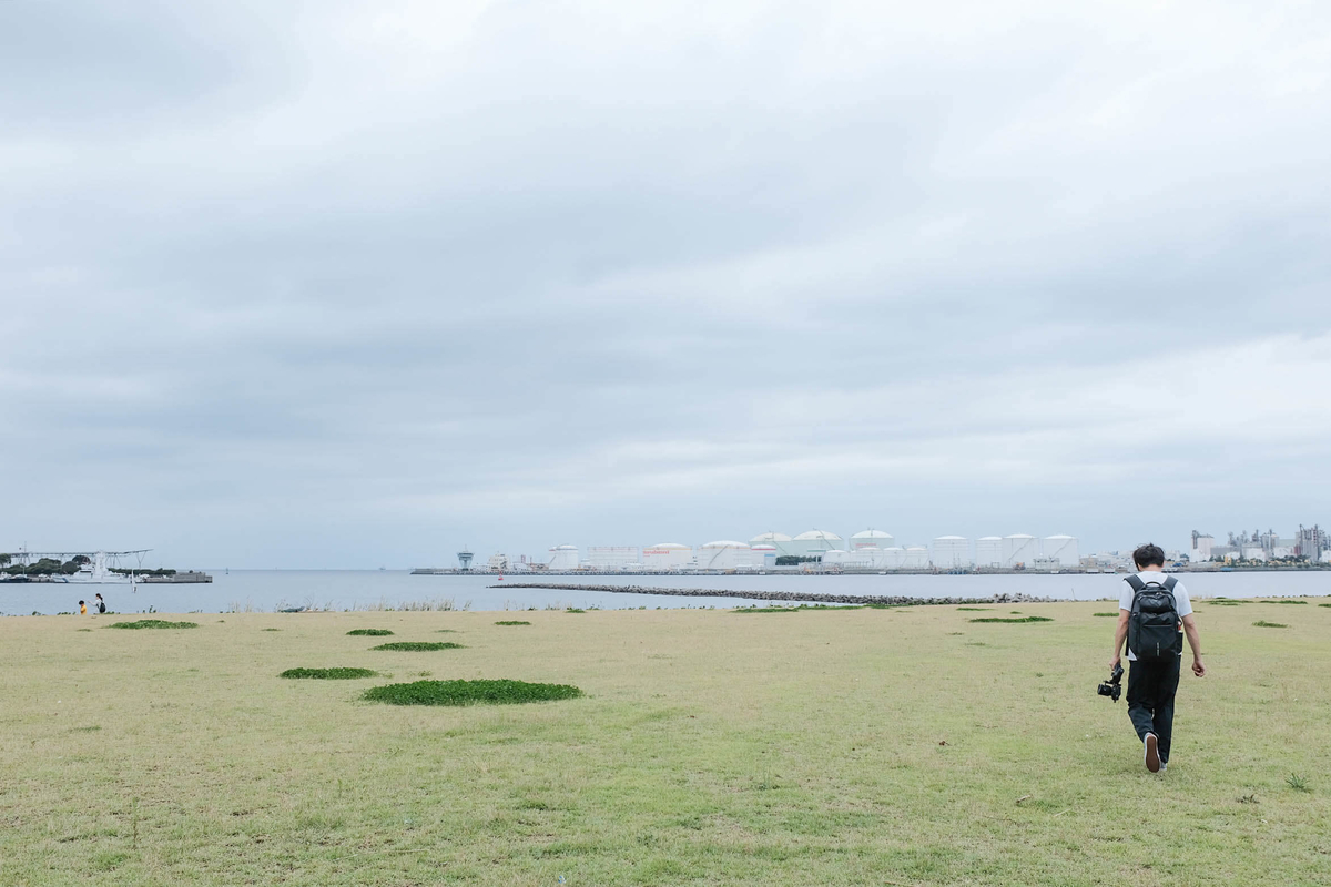 f:id:hachi-log:20191120225250j:plain
