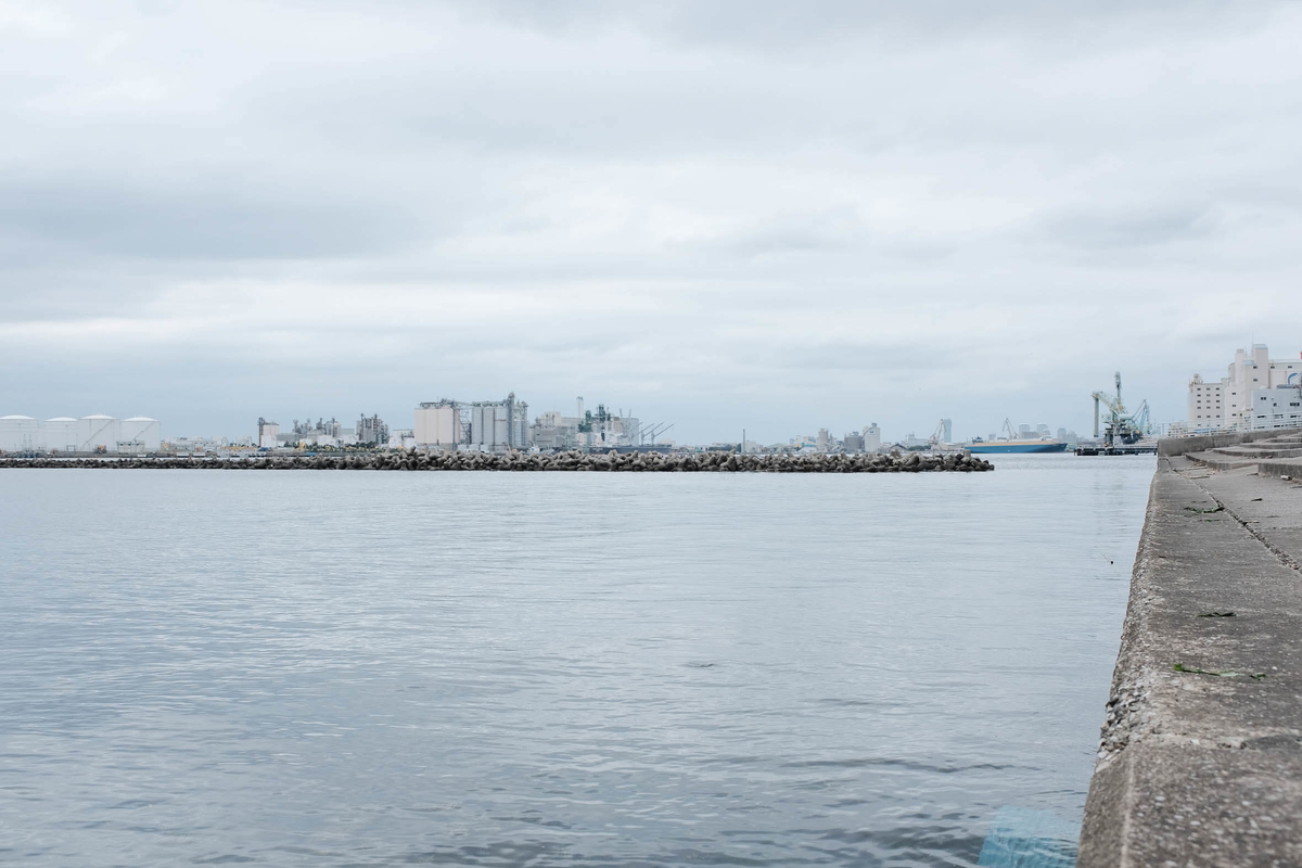 f:id:hachi-log:20191120225256j:plain