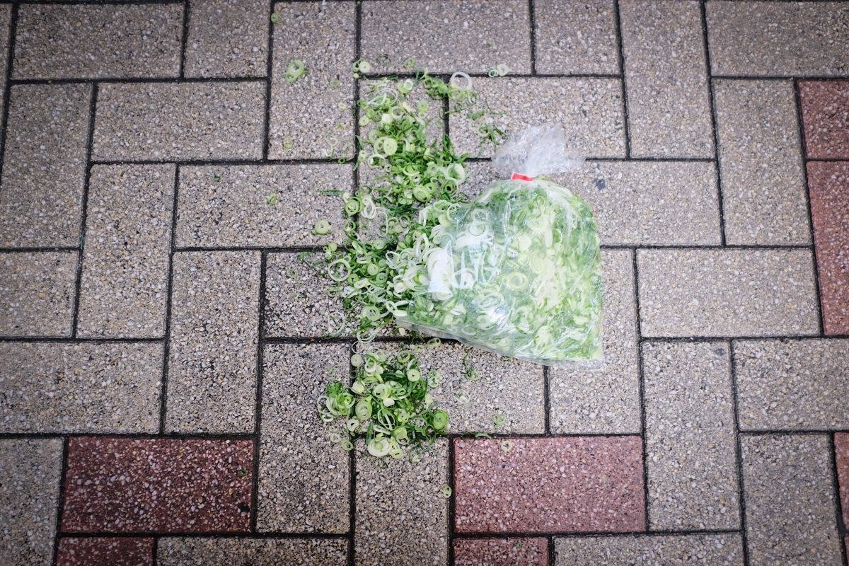 f:id:hachi-log:20191216085418j:plain