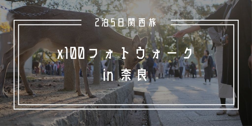 f:id:hachi-log:20191216111027j:plain f:id:hachi-log:20191216111027j:plain