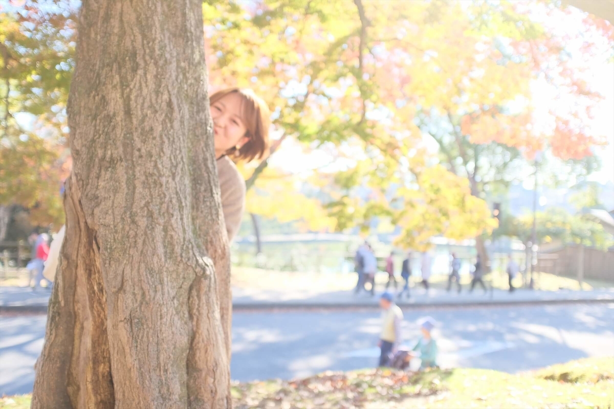 f:id:hachi-log:20191216111615j:plain f:id:hachi-log:20191216111615j:plain