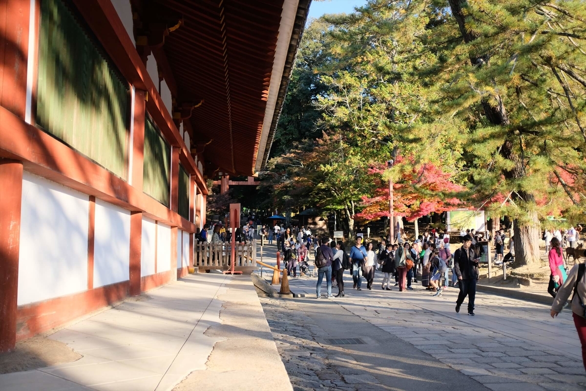 f:id:hachi-log:20191216111827j:plain f:id:hachi-log:20191216111827j:plain