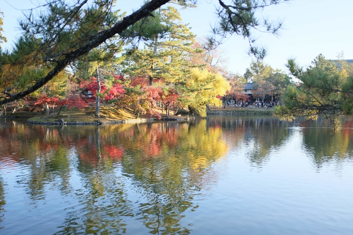 f:id:hachi-log:20191216112835j:plain f:id:hachi-log:20191216112835j:plain