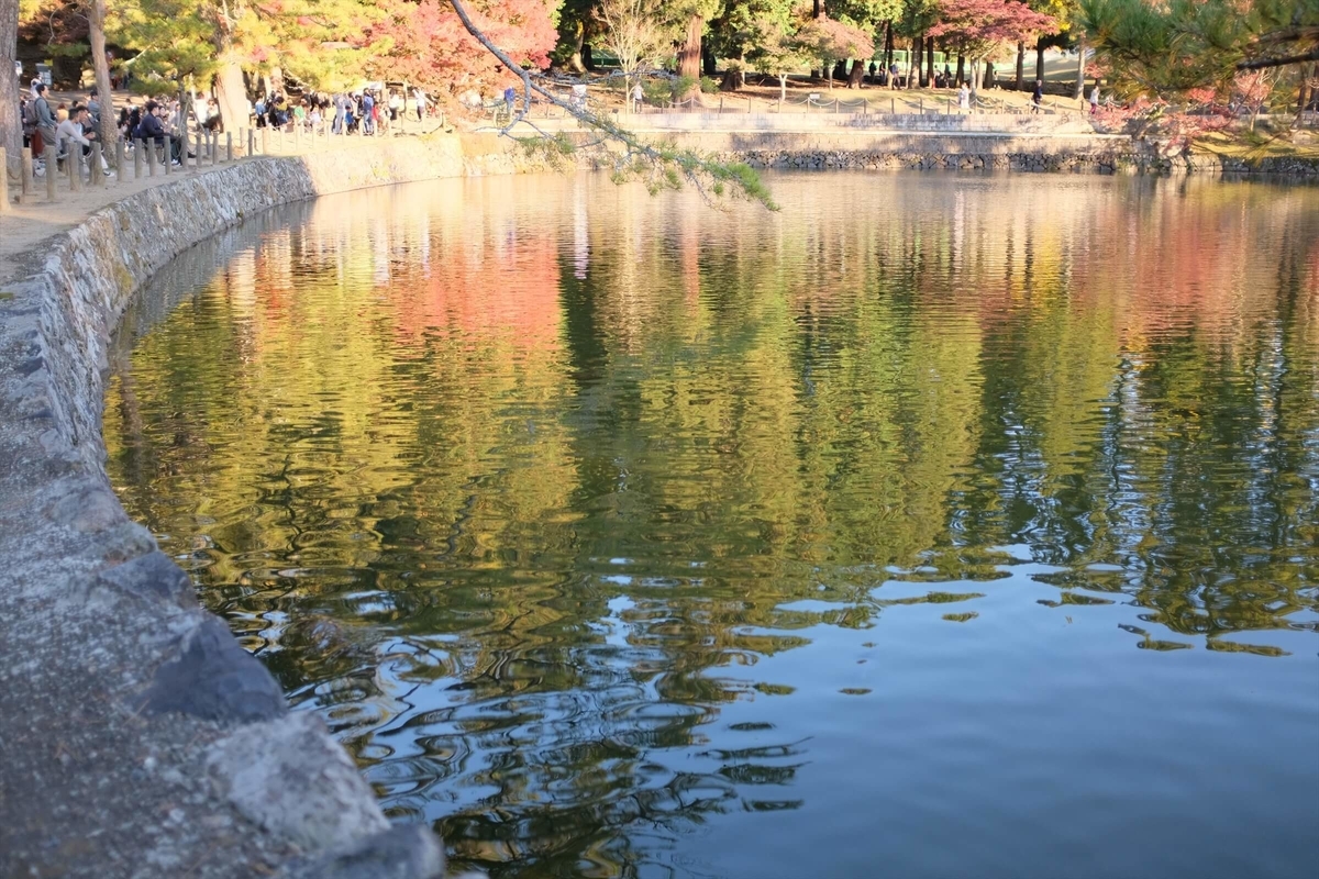 f:id:hachi-log:20191216112841j:plain f:id:hachi-log:20191216112841j:plain