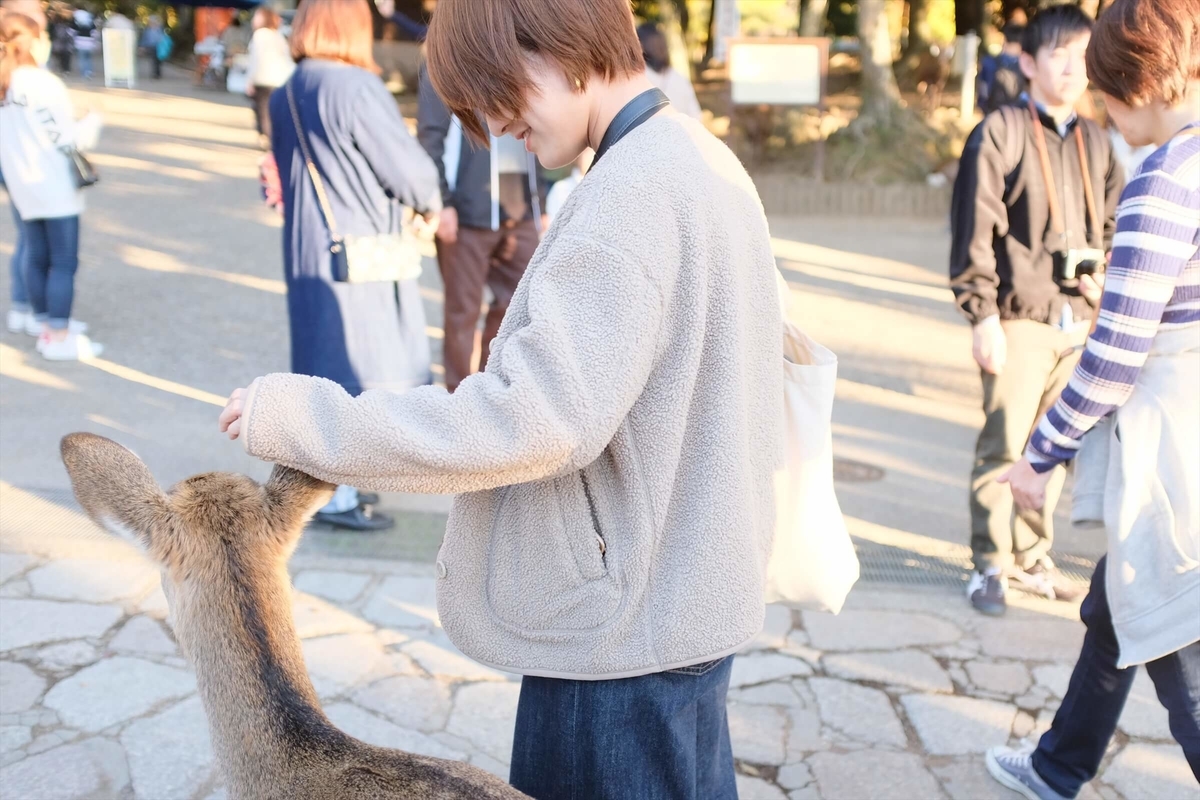 f:id:hachi-log:20191216112905j:plain f:id:hachi-log:20191216112905j:plain