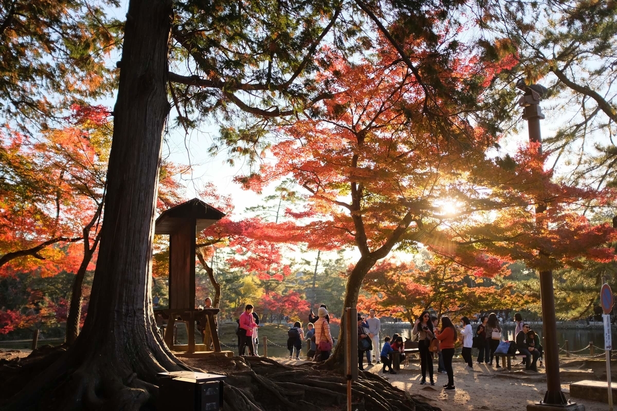 f:id:hachi-log:20191216112912j:plain f:id:hachi-log:20191216112912j:plain