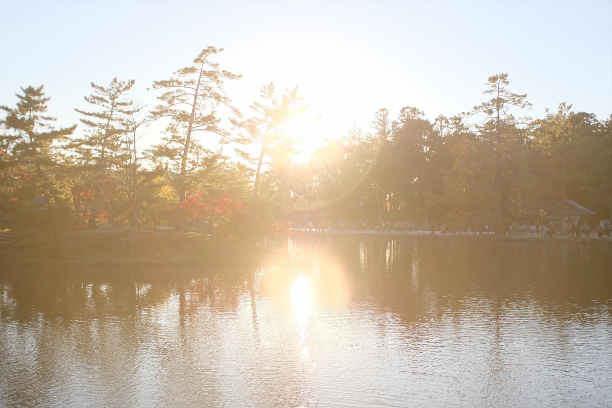 f:id:hachi-log:20191216112931j:plain f:id:hachi-log:20191216112931j:plain