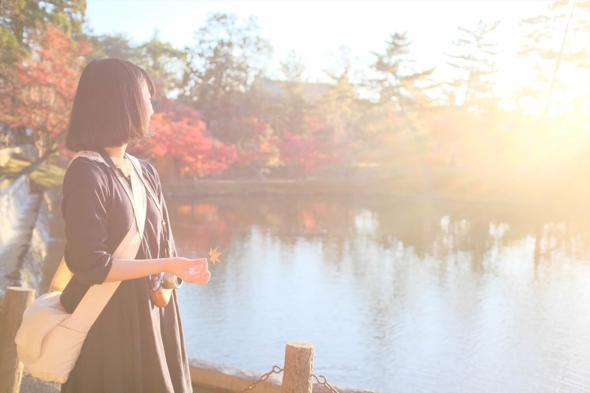 f:id:hachi-log:20191216113006j:plain f:id:hachi-log:20191216113006j:plain