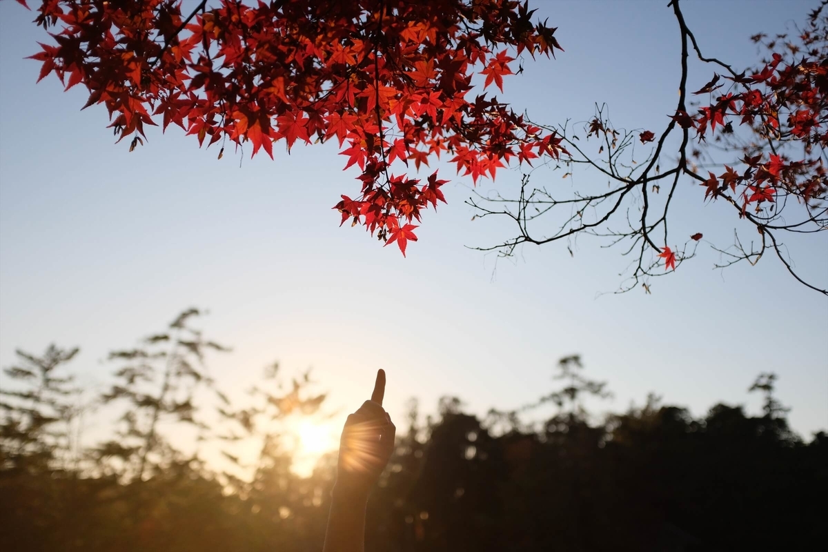 f:id:hachi-log:20191216113017j:plain f:id:hachi-log:20191216113017j:plain