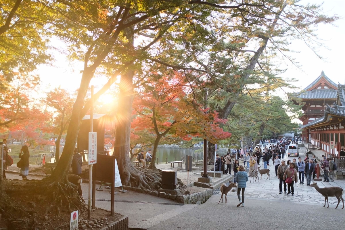 f:id:hachi-log:20191216113048j:plain f:id:hachi-log:20191216113048j:plain