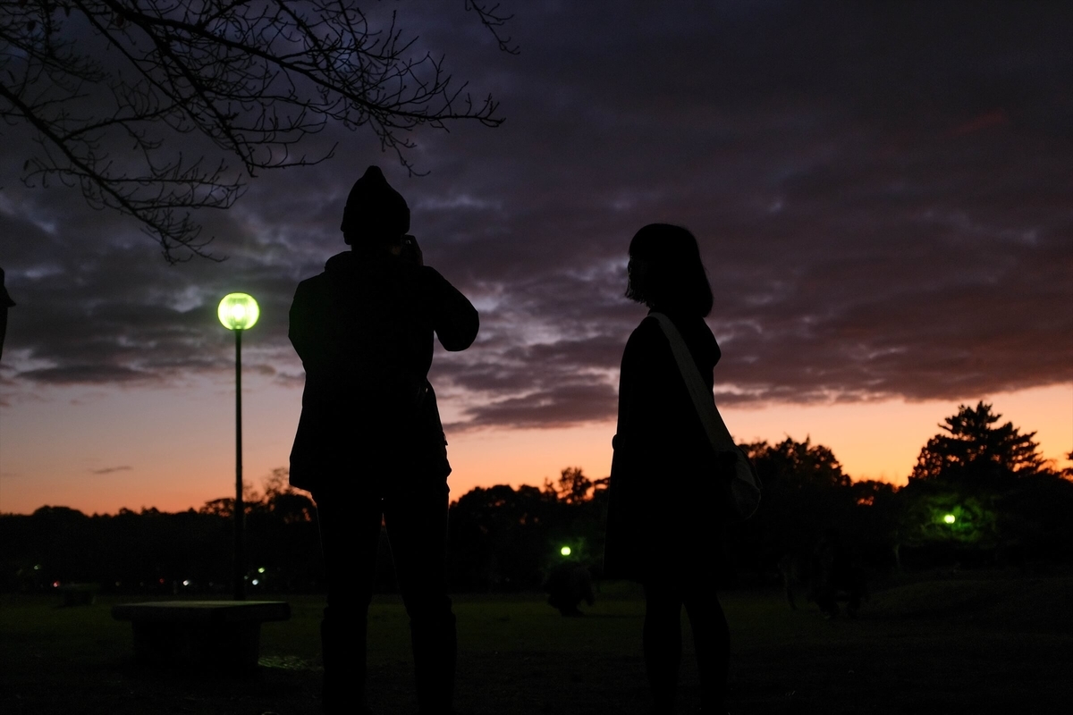 f:id:hachi-log:20191216113718j:plain f:id:hachi-log:20191216113718j:plain