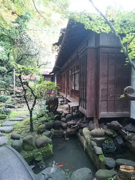 f:id:hachi-log:20191216124707j:plain