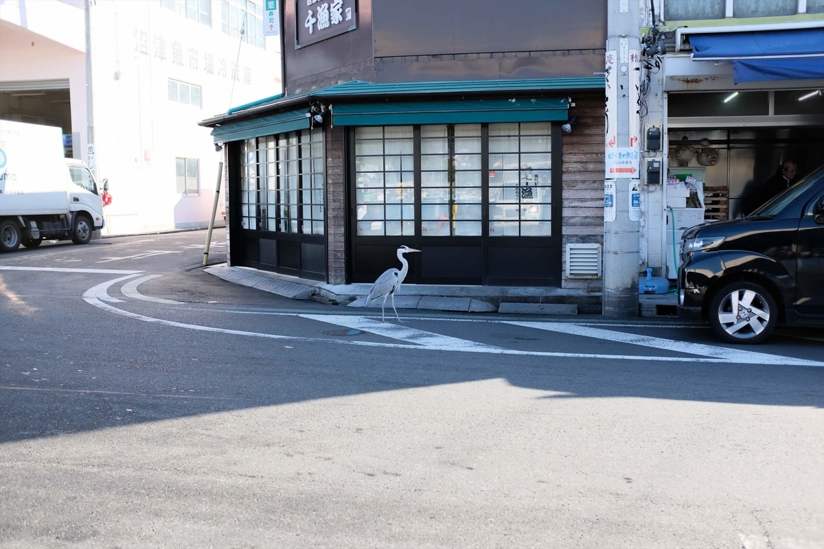 f:id:hachi-log:20191223122234j:plain f:id:hachi-log:20191223122234j:plain