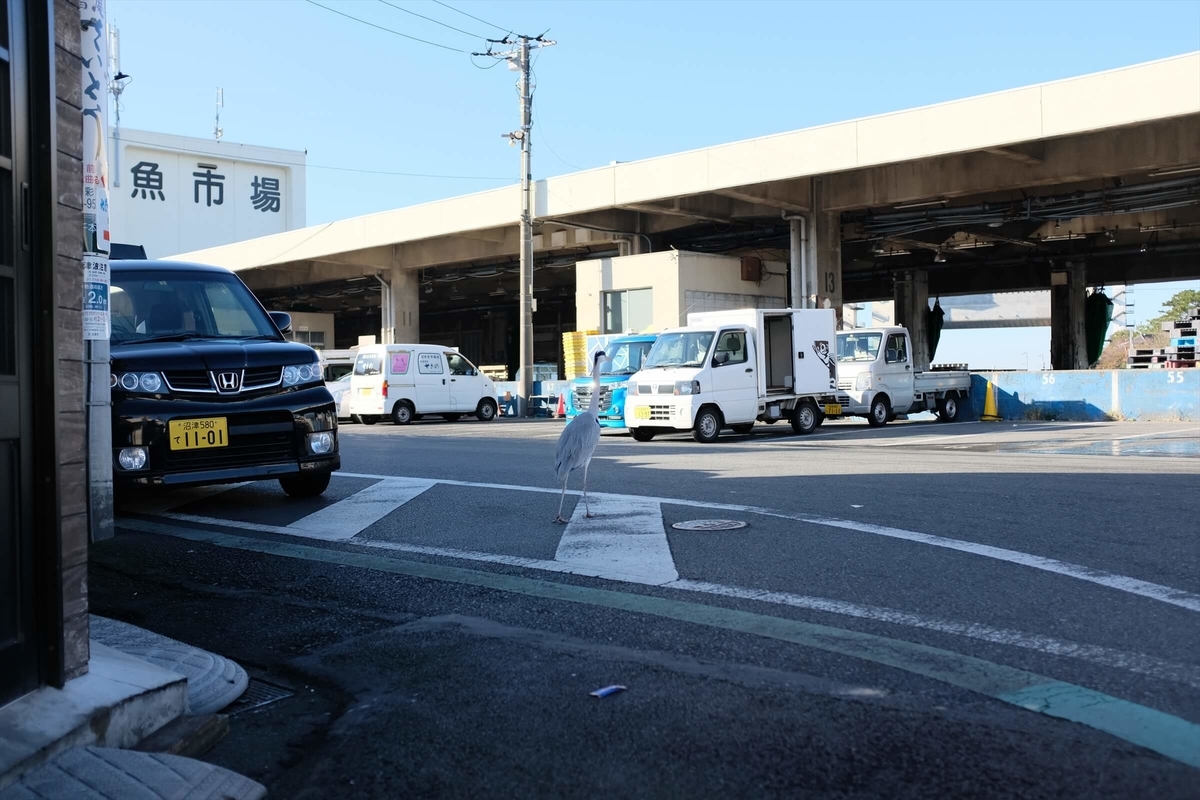 f:id:hachi-log:20191223122240j:plain f:id:hachi-log:20191223122240j:plain