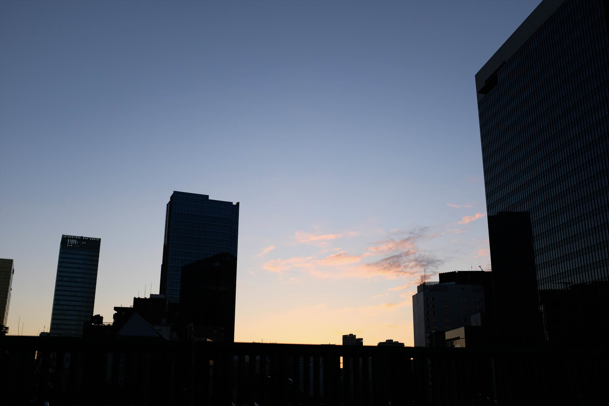 f:id:hachi-log:20191231110635j:plain f:id:hachi-log:20191231110635j:plain