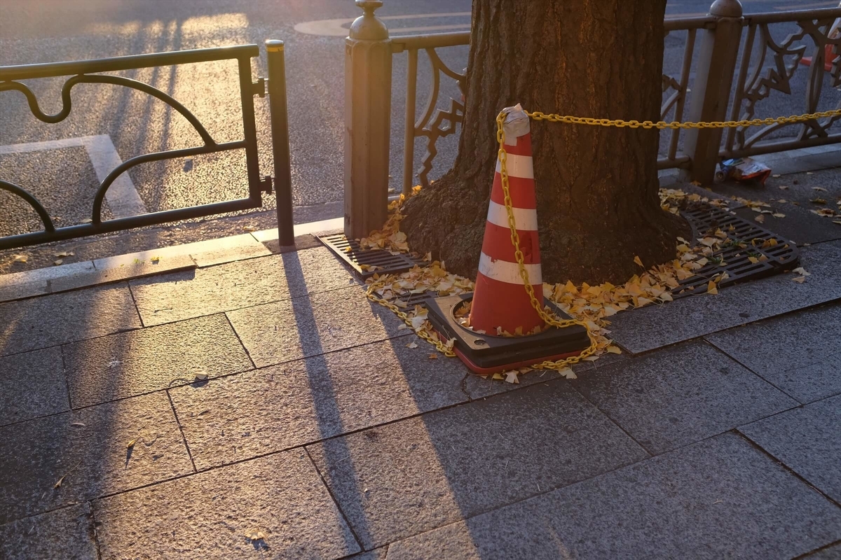 f:id:hachi-log:20191231110821j:plain f:id:hachi-log:20191231110821j:plain