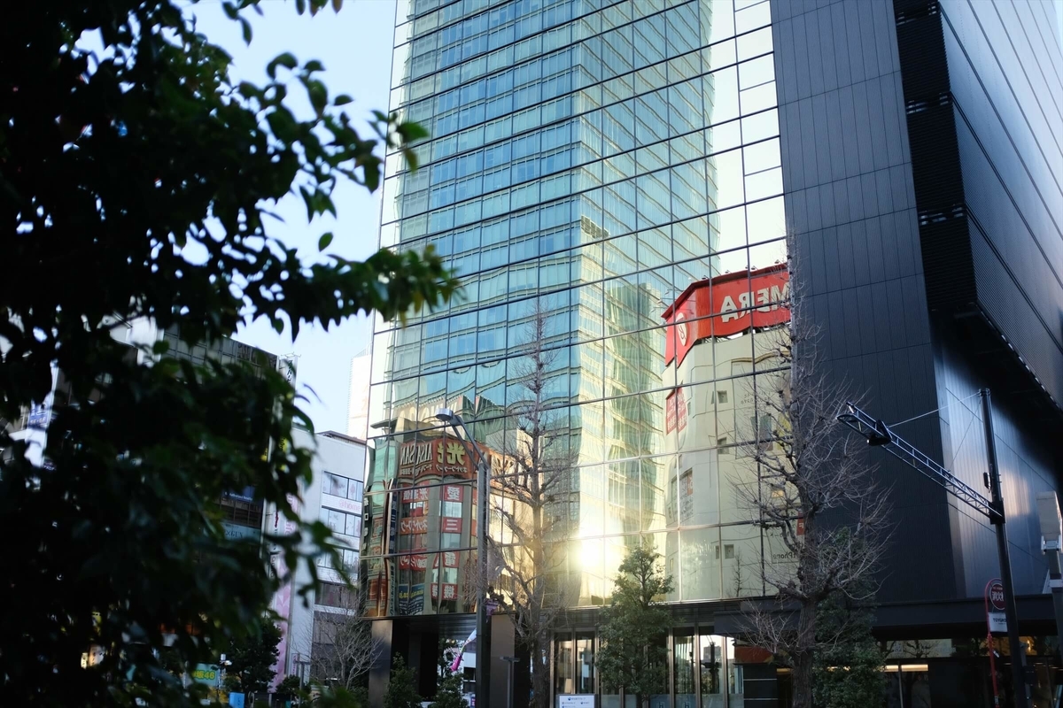 f:id:hachi-log:20191231111150j:plain f:id:hachi-log:20191231111150j:plain