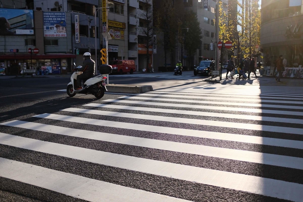 f:id:hachi-log:20191231111349j:plain f:id:hachi-log:20191231111349j:plain