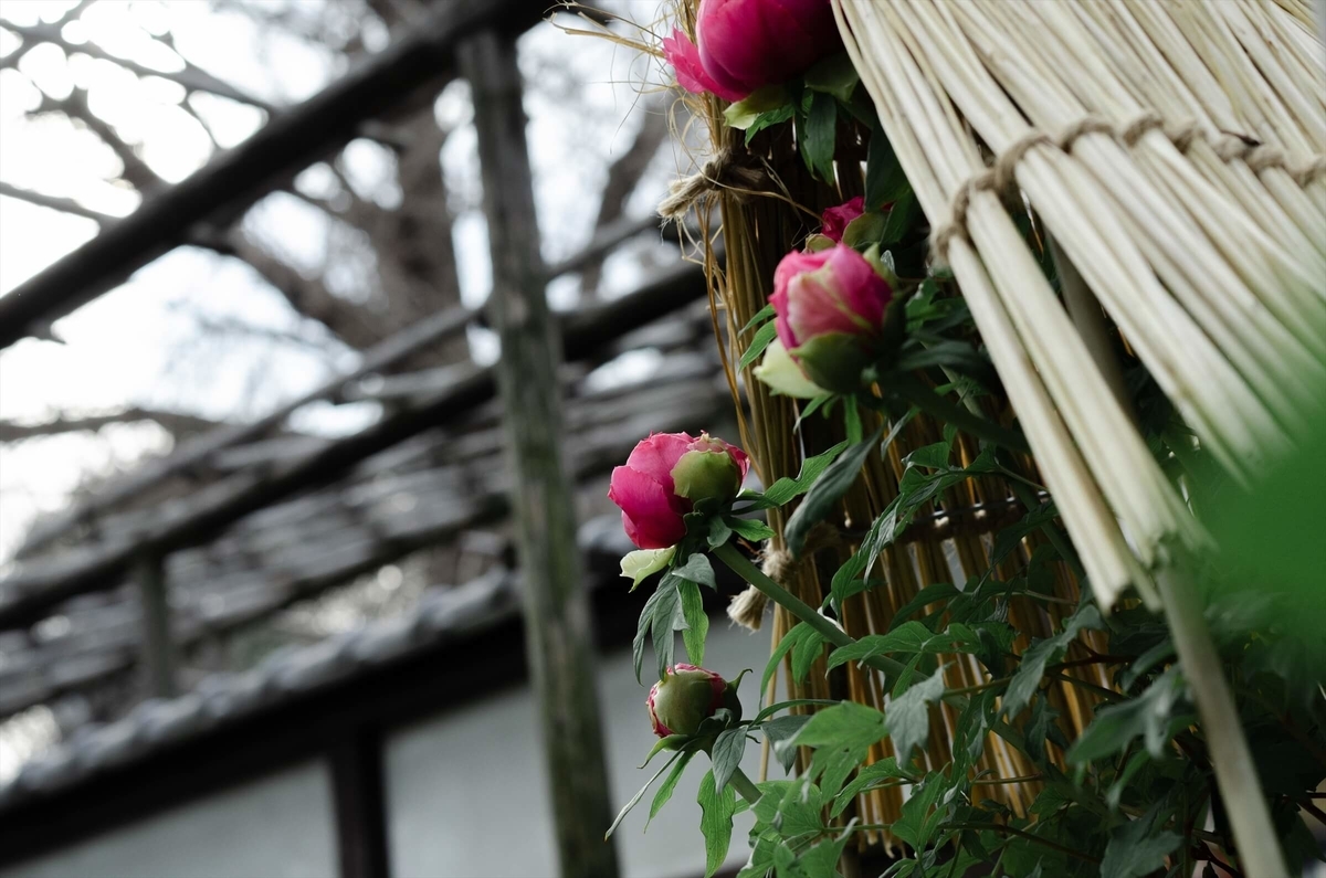 f:id:hachi-log:20200115023659j:plain