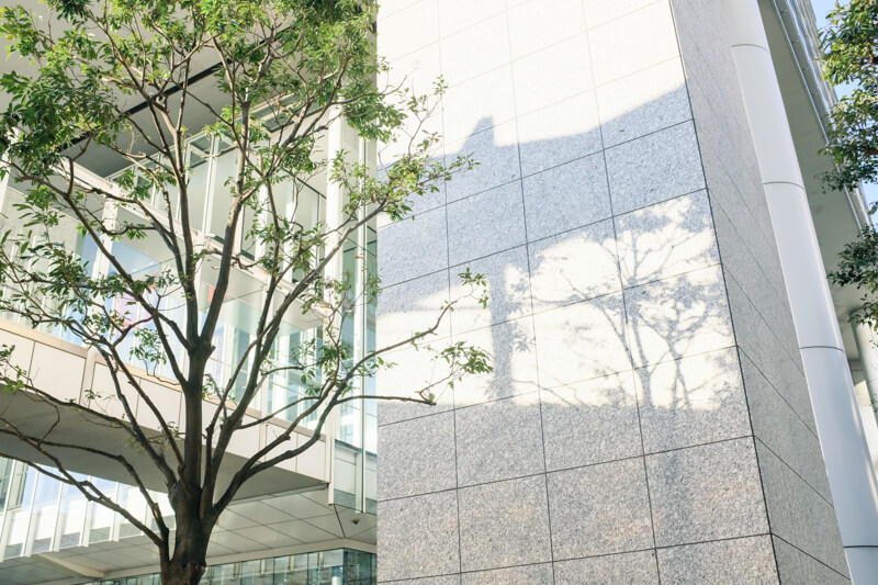 f:id:hachi-log:20200124115515j:plain f:id:hachi-log:20200124115515j:plain