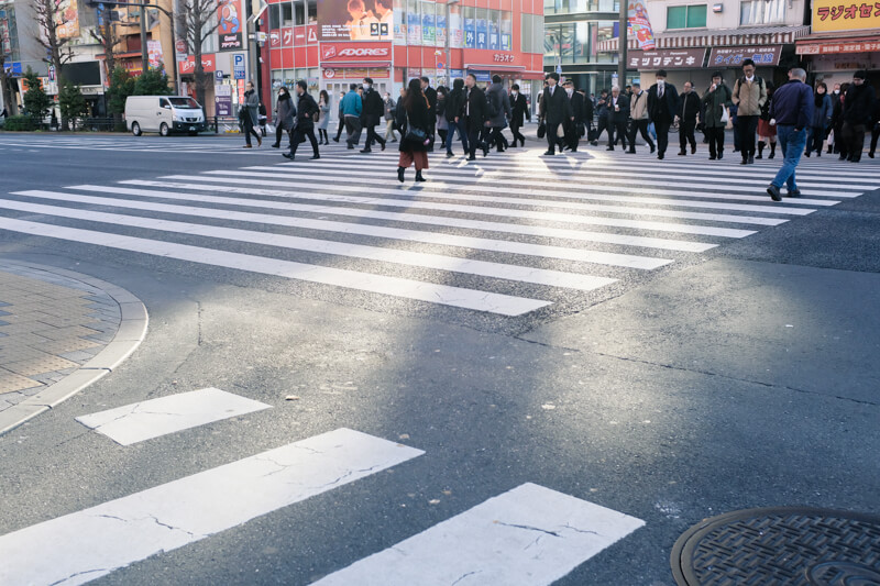 f:id:hachi-log:20200124115529j:plain f:id:hachi-log:20200124115529j:plain