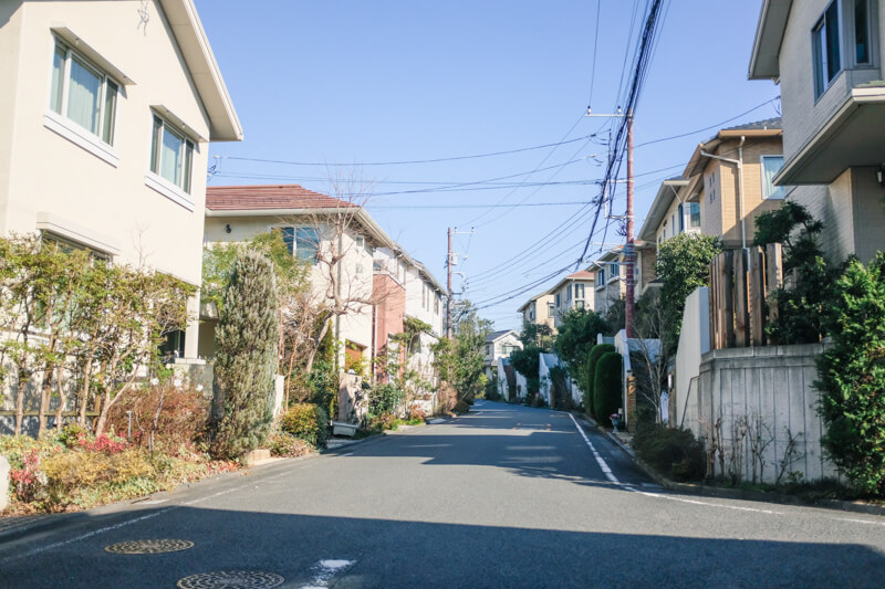 f:id:hachi-log:20200125085412j:plain