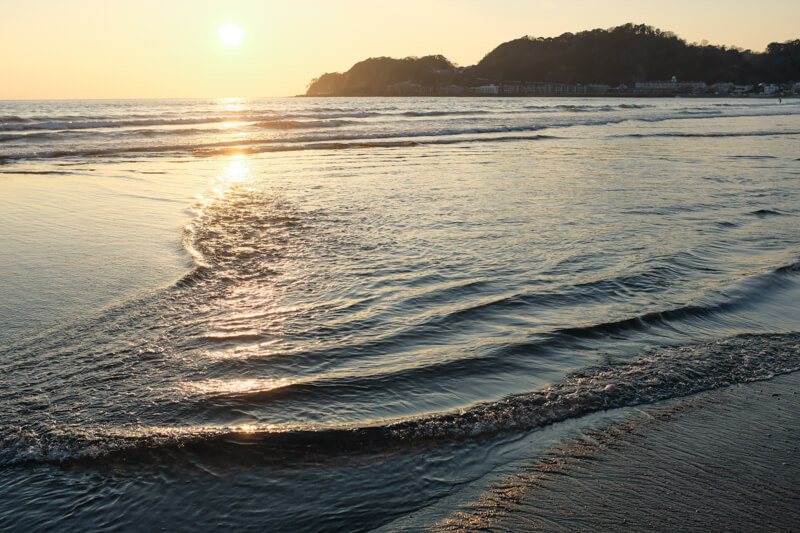 f:id:hachi-log:20200125090301j:plain