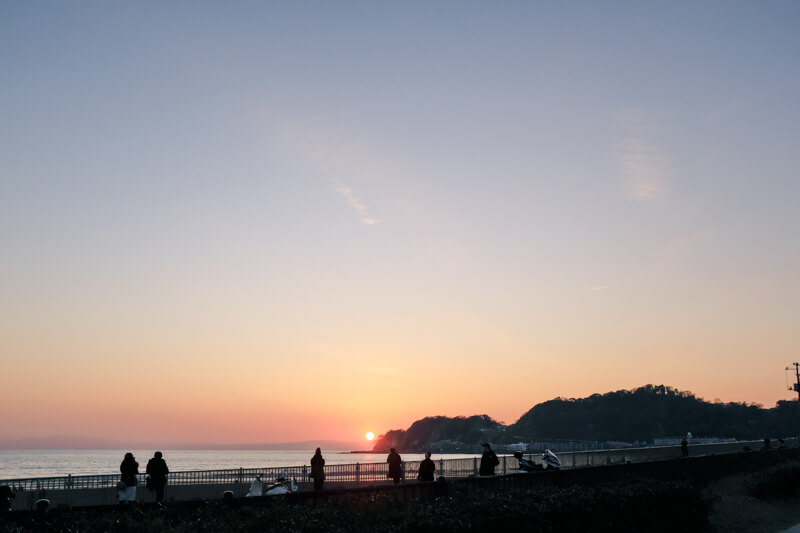 f:id:hachi-log:20200125090326j:plain