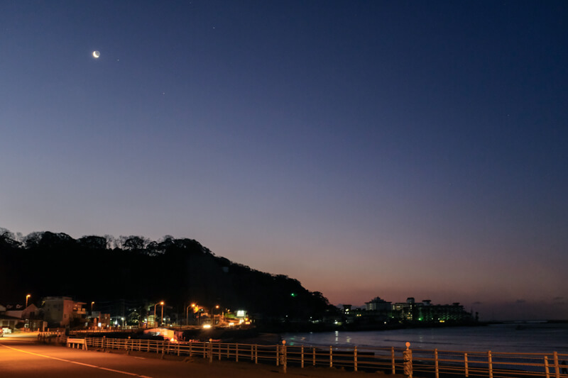 f:id:hachi-log:20200128171441j:plain f:id:hachi-log:20200128171441j:plain