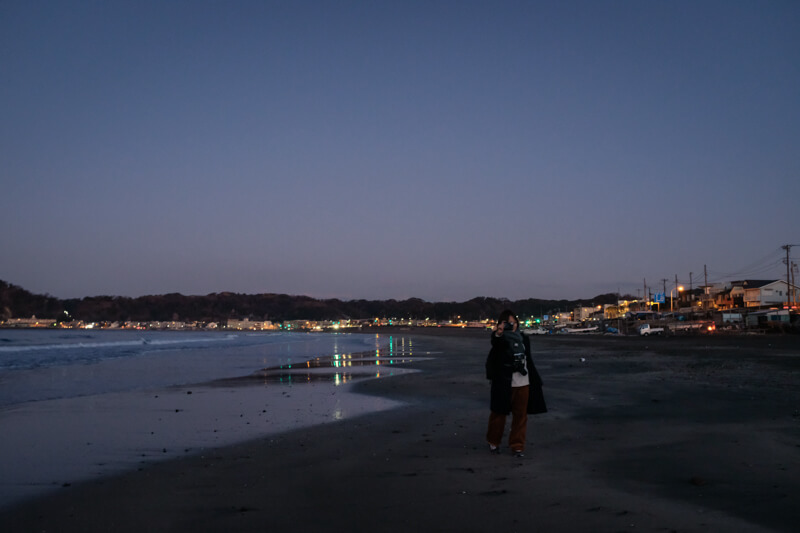 f:id:hachi-log:20200128171455j:plain f:id:hachi-log:20200128171455j:plain