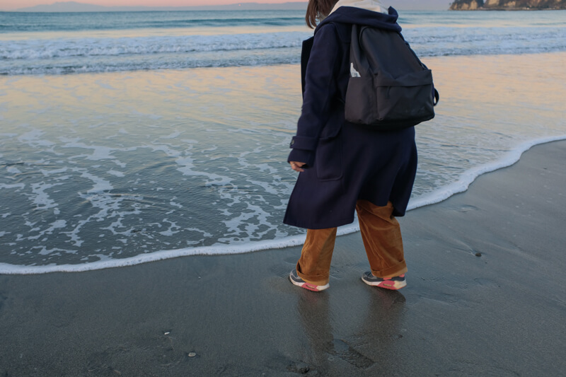 f:id:hachi-log:20200128171729j:plain f:id:hachi-log:20200128171729j:plain