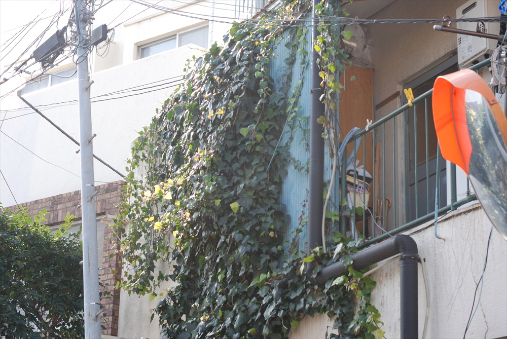 f:id:hachi-log:20200207115410j:plain