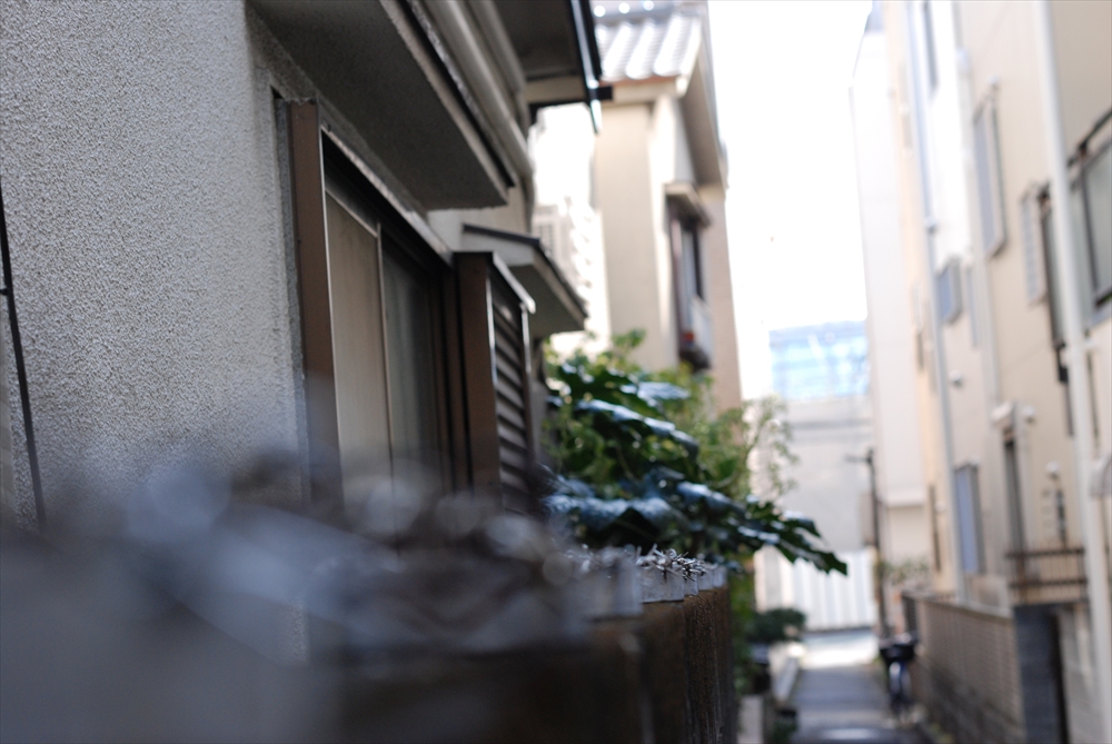 f:id:hachi-log:20200207121137j:plain