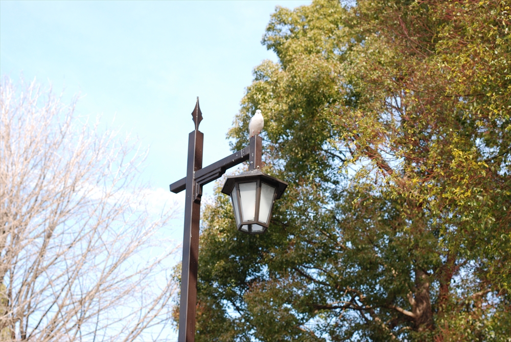 f:id:hachi-log:20200207122621j:plain