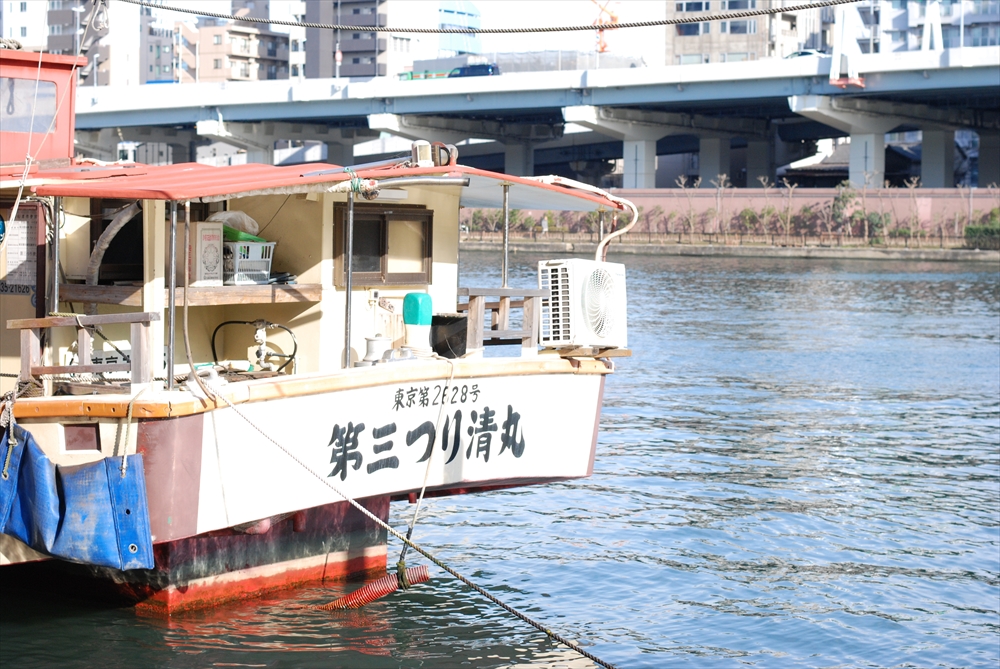 f:id:hachi-log:20200207144323j:plain
