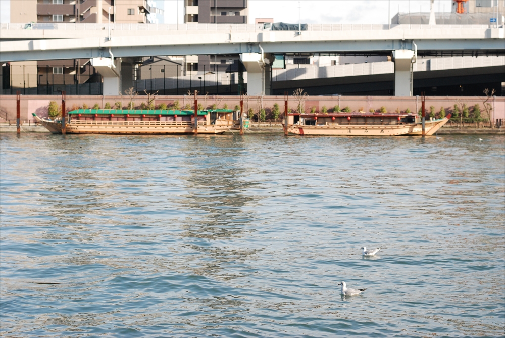 f:id:hachi-log:20200207144935j:plain