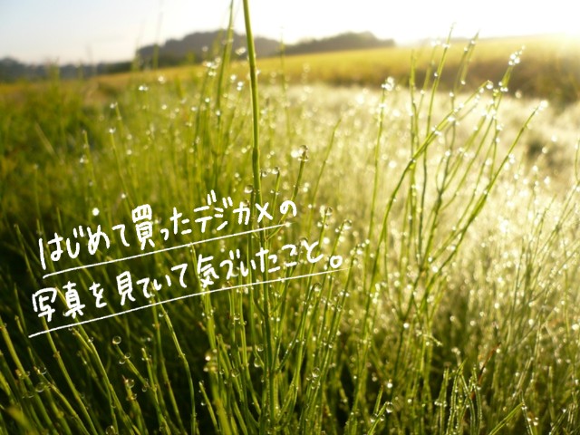 f:id:hachi-log:20200216010304j:image