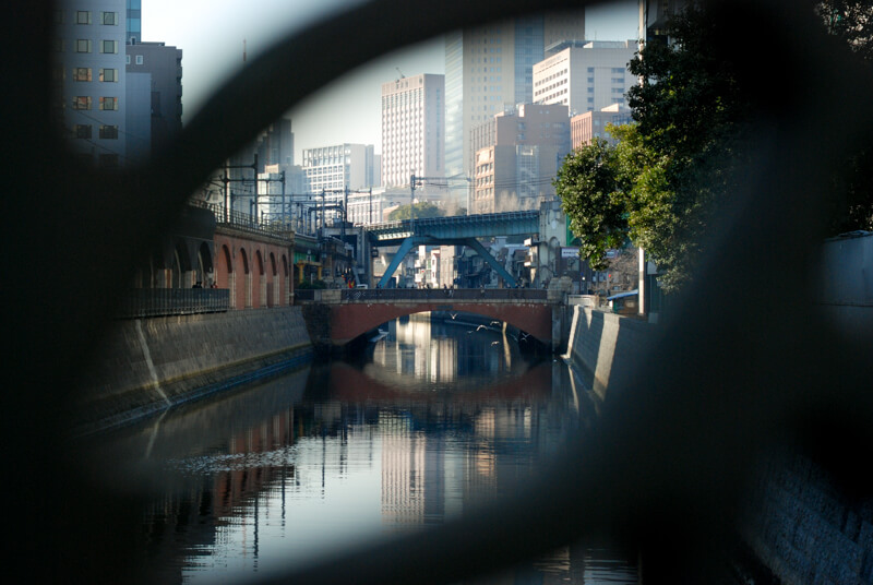 f:id:hachi-log:20200219203849j:plain