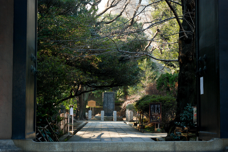 f:id:hachi-log:20200219203945j:plain